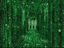 CINE_matrix03.jpg